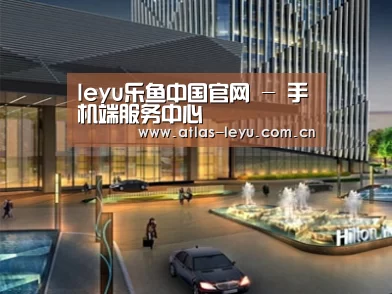 案例展示二(图1)
