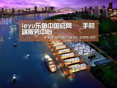案例展示八