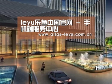 案例展示二