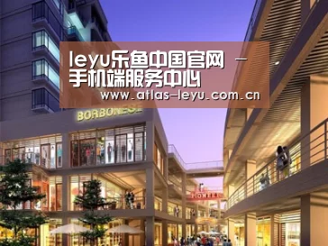 案例展示一