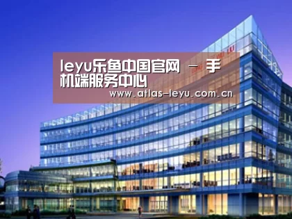 案例展示五