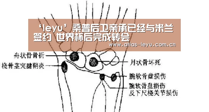 ‘leyu’桑普后卫亲承已经与米兰签约 世界杯后完成转会(图2) 乐鱼体育平台