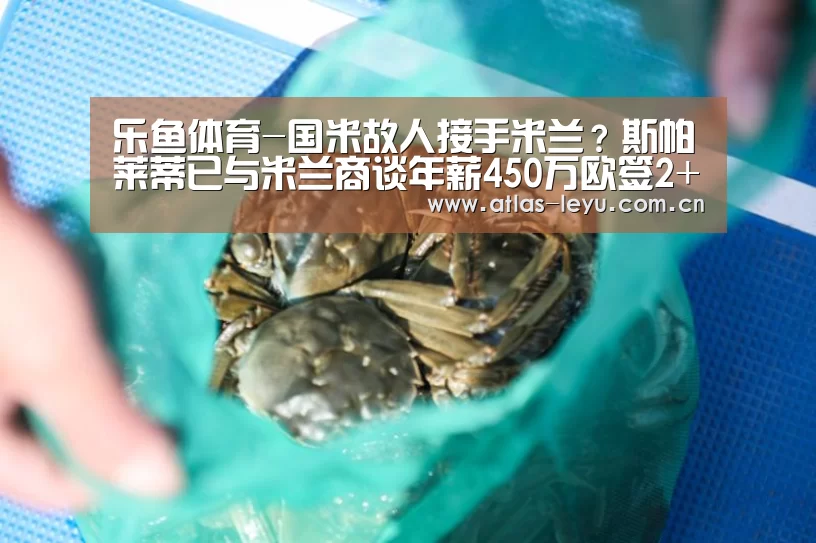乐鱼体育-国米故人接手米兰?斯帕莱蒂已与米兰商谈年薪450万欧签2+1合同(图3) 乐鱼体育平台